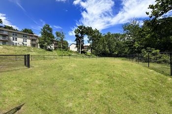 Dog park